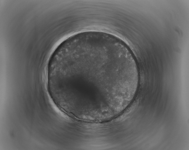X0000111421515200908101045