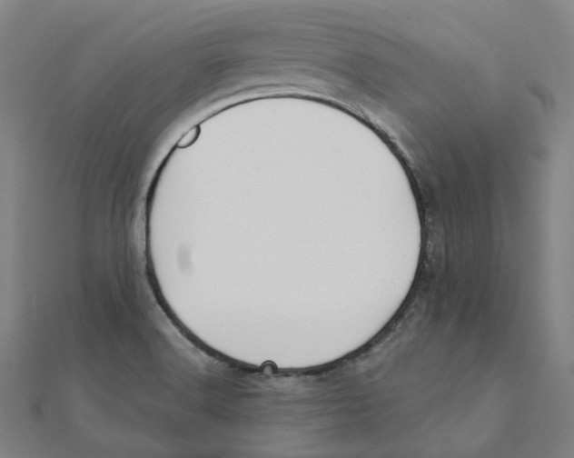 X0000111421516200908101045