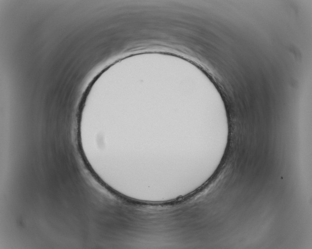 X0000111421518200908101045