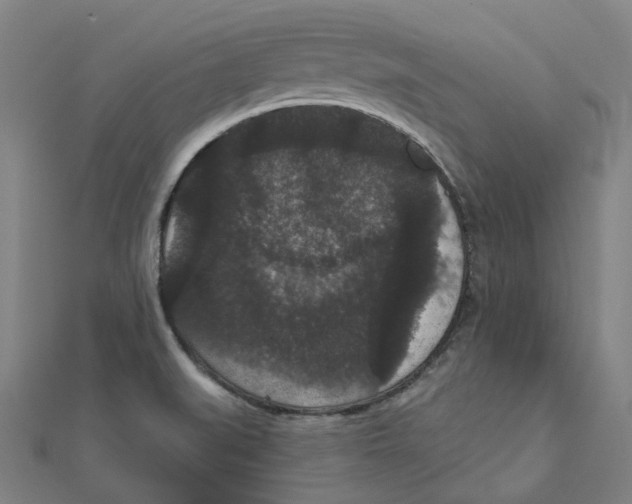 X0000111421519200908101045