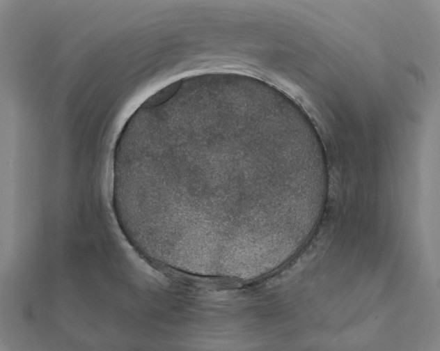 X0000111421520200908101045
