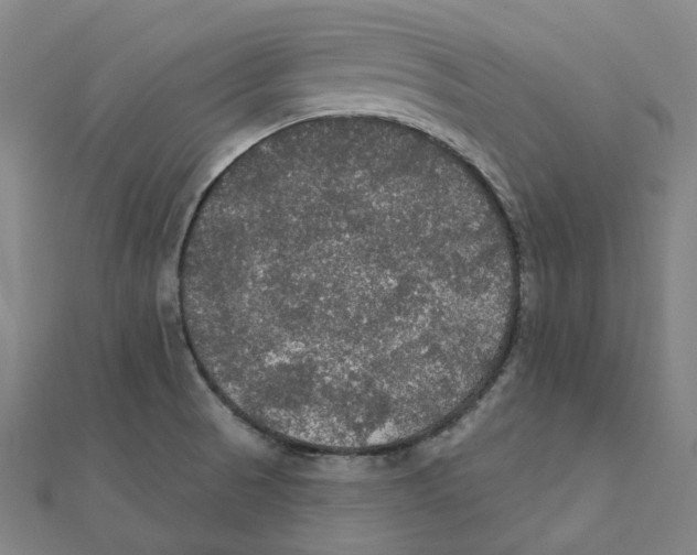 X0000111421521200908101045
