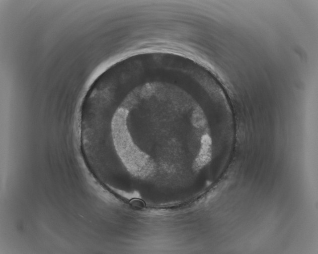 X0000111421522200908101045
