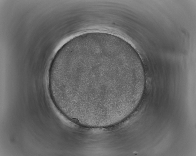 X0000111421523200908101045