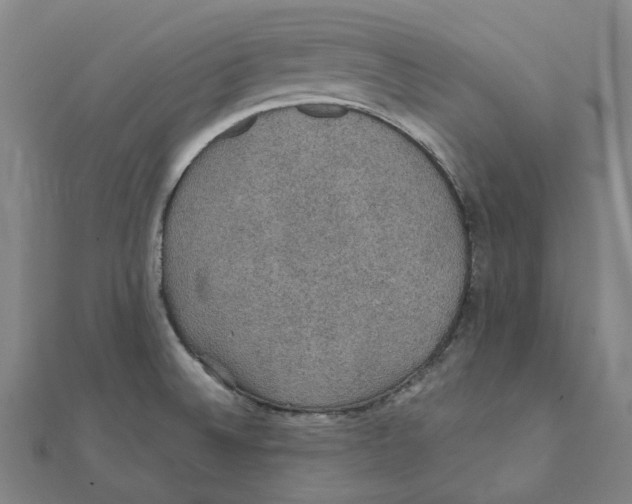 X0000111421524200908101045
