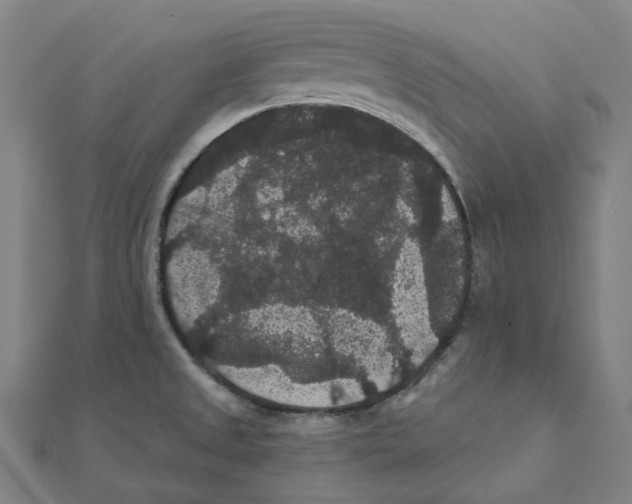 X0000111421525200908101045
