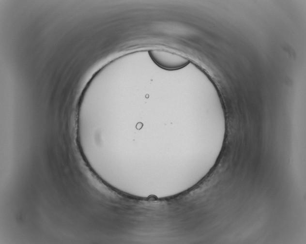 X0000111421526200908101045