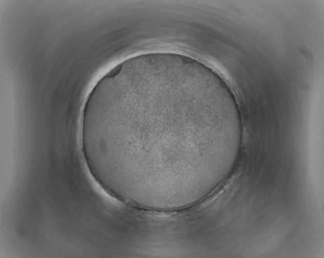 X0000111421528200908101045