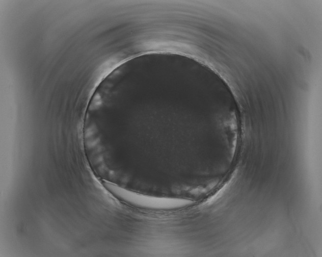X0000111421529200908101045