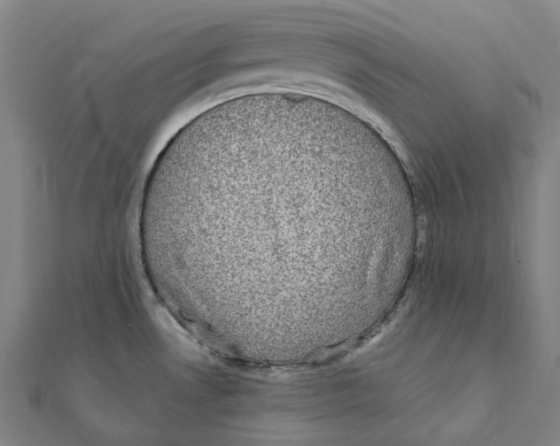 X0000111421530200908101045