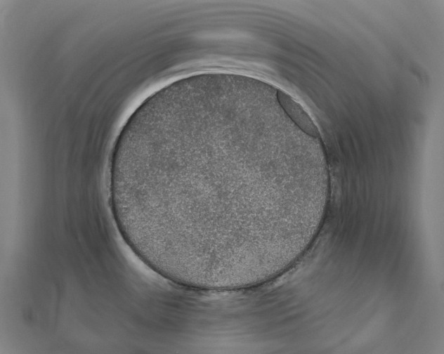 X0000111421531200908101045