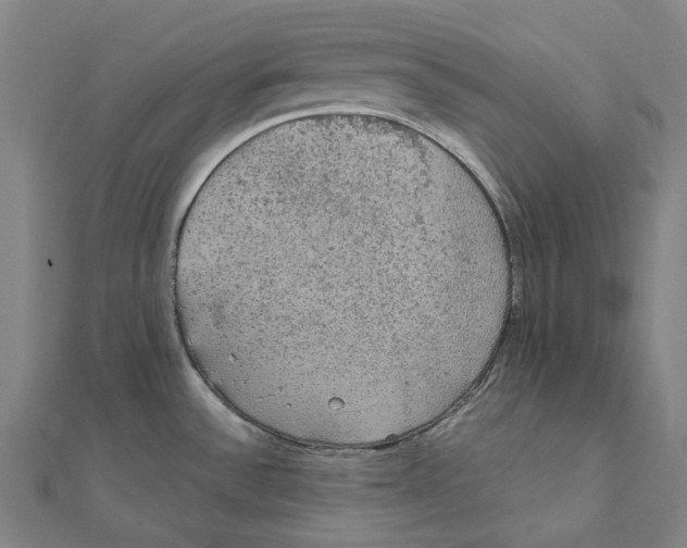 X0000111421532200908101045