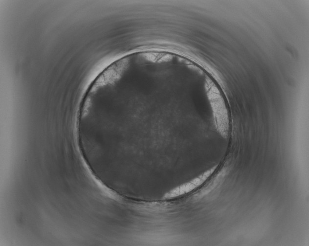 X0000111421533200908101045