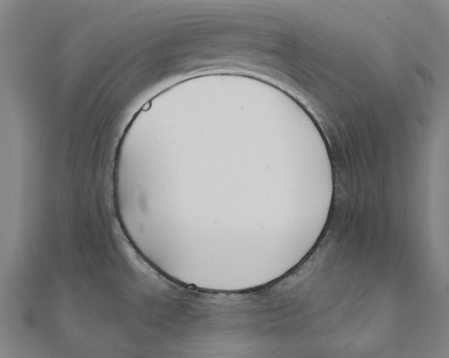 X0000111421534200908101045