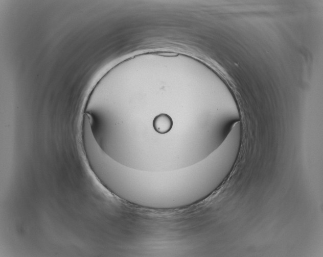 X0000111421536200908101045