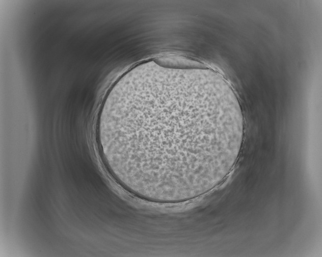 X0000111420001200908241141