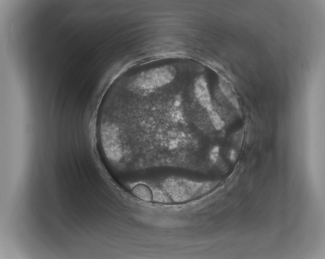 X0000111420002200908241141