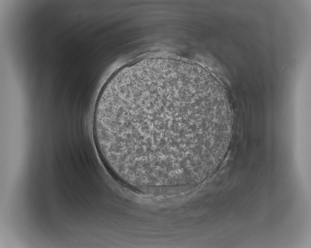 X0000111420003200908241141