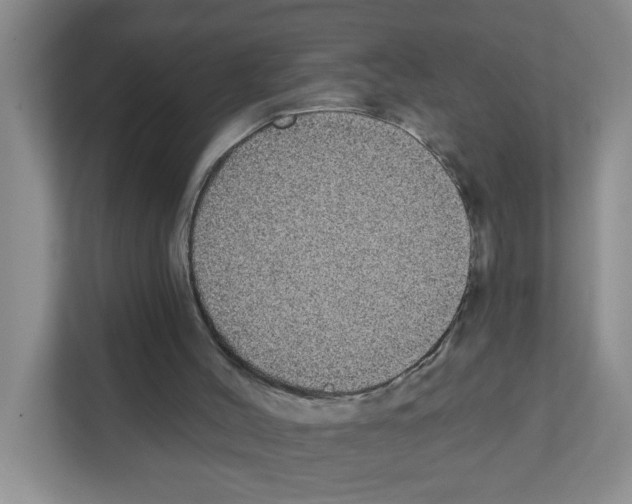 X0000111420004200908241141