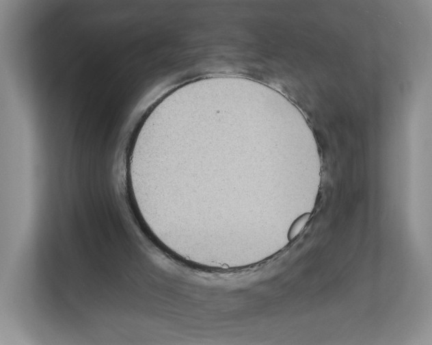 X0000111420005200908241141