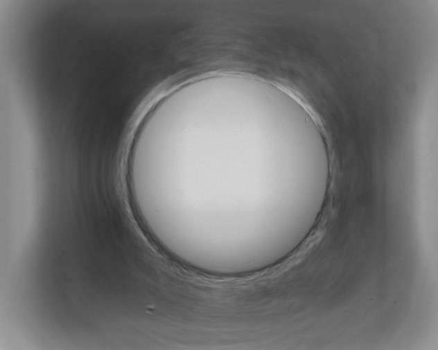 X0000111420007200908241141