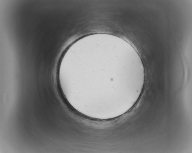 X0000111420008200908241141
