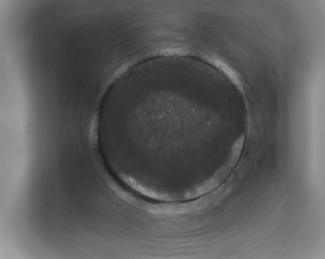 X0000111420009200908241141