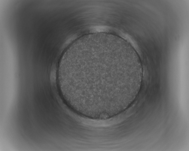 X0000111420010200908241141