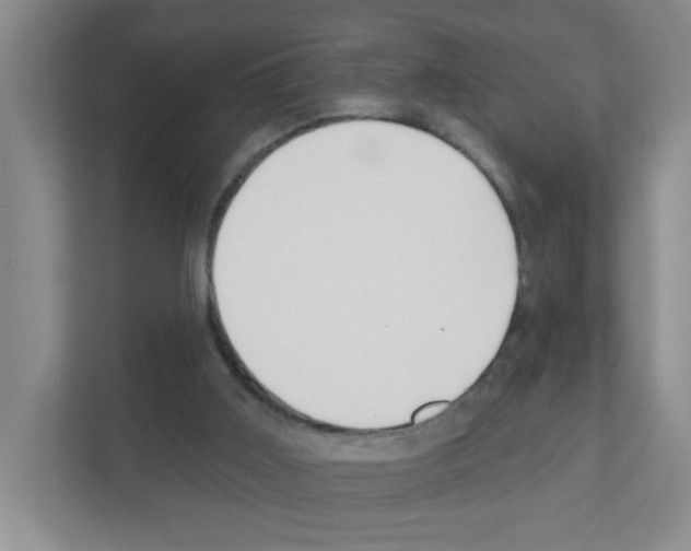 X0000111420011200908241141