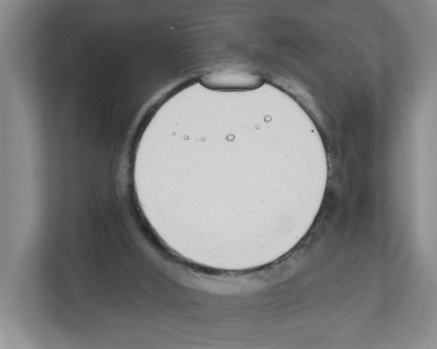 X0000111420012200908241141