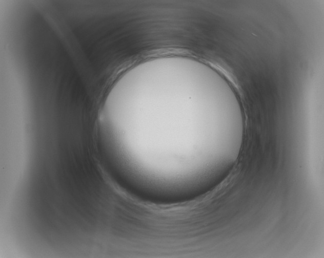 X0000111420013200908241141