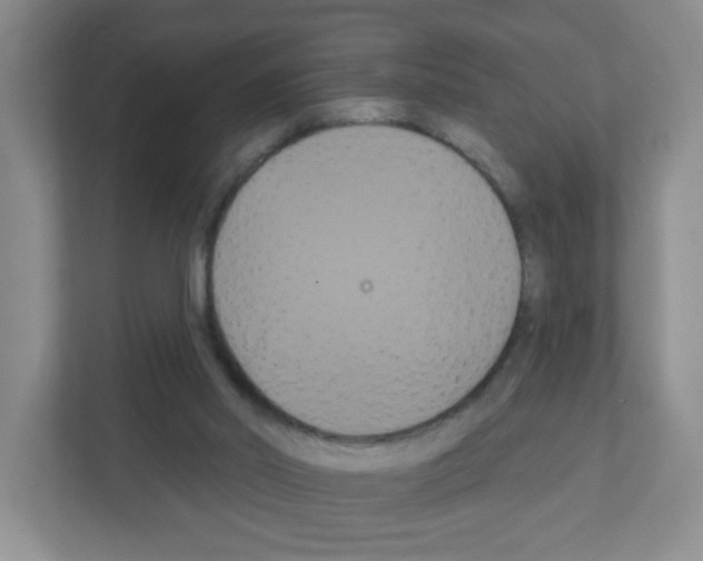 X0000111420014200908241141