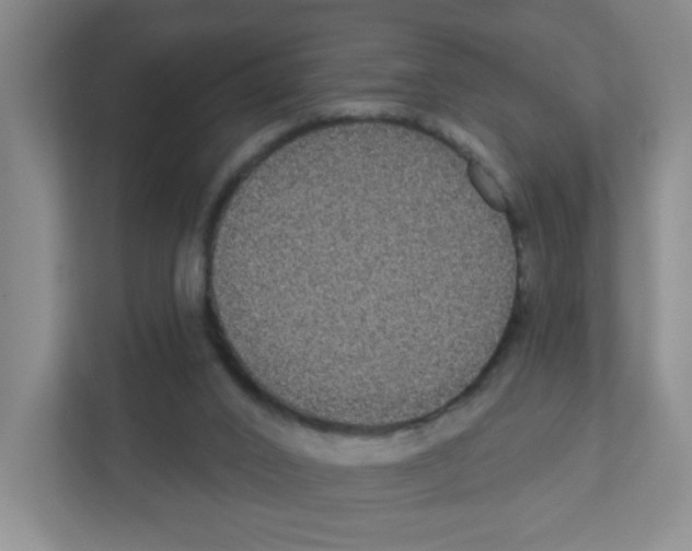X0000111420016200908241141