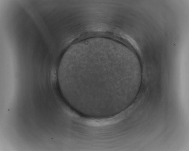 X0000111420017200908241141