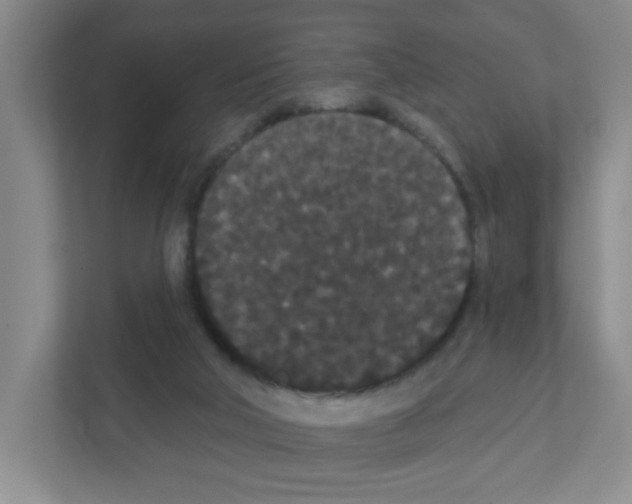 X0000111420018200908241141