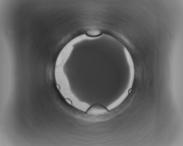 X0000111420023200908241141