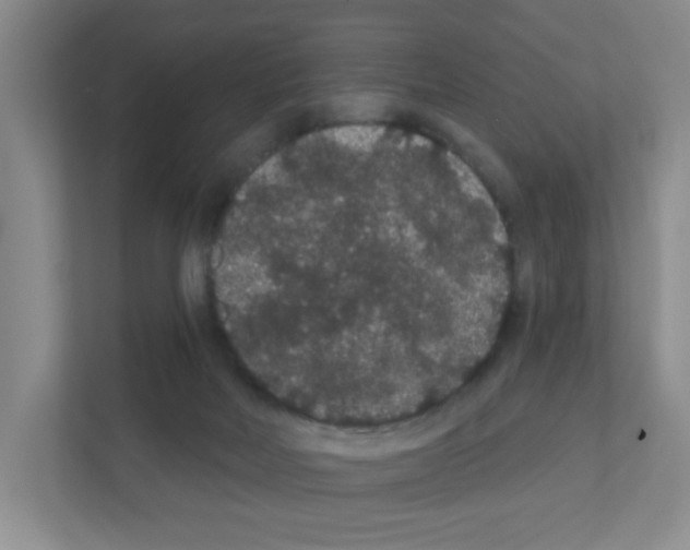 X0000111420026200908241141