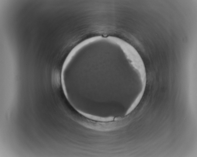 X0000111420027200908241141