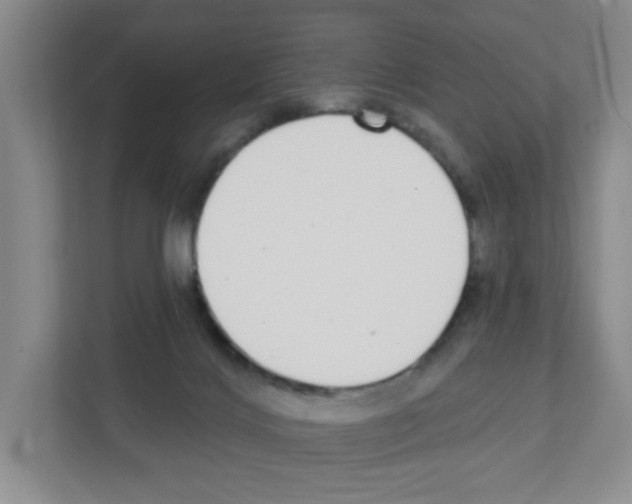 X0000111420028200908241141