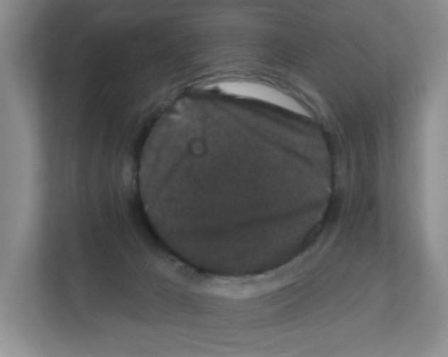 X0000111420029200908241141