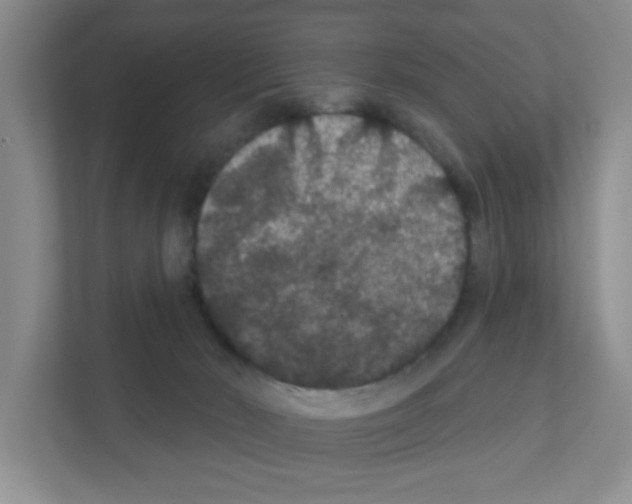 X0000111420030200908241141