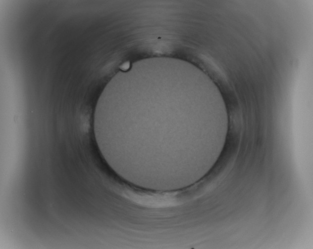 X0000111420032200908241141