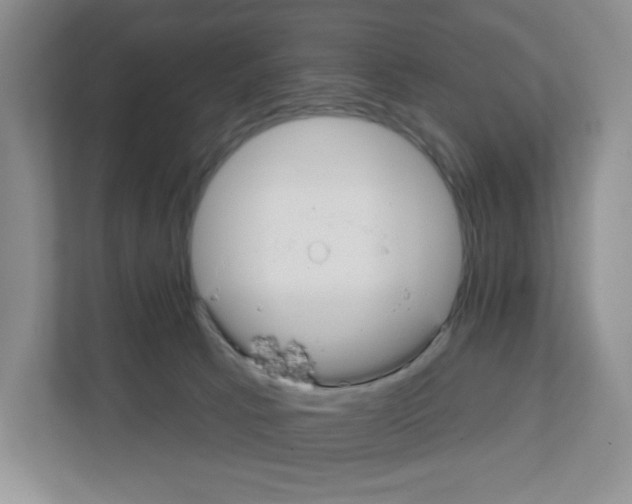 X0000111420033200908241141