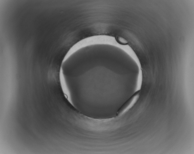 X0000111420035200908241141
