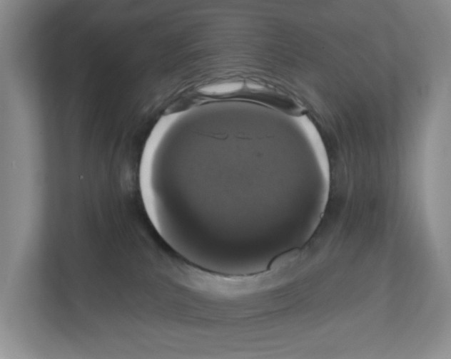 X0000111420039200908241141