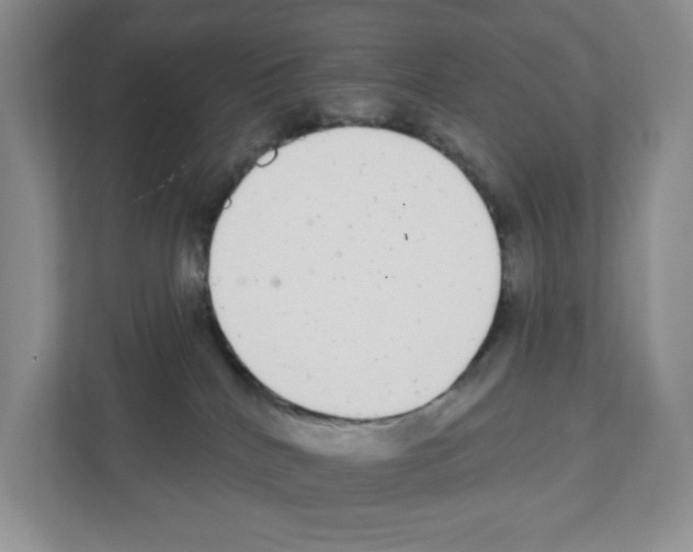 X0000111420040200908241141