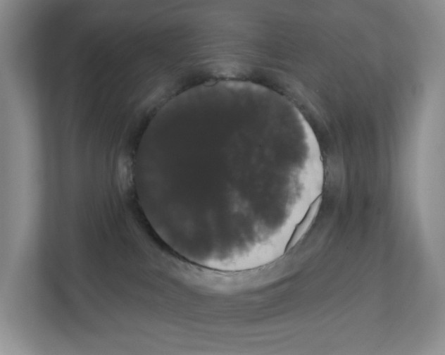 X0000111420043200908241141