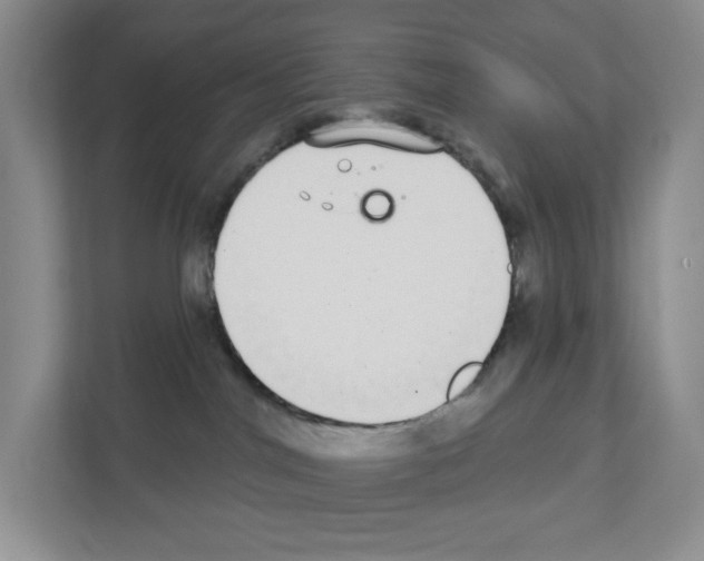 X0000111420044200908241141
