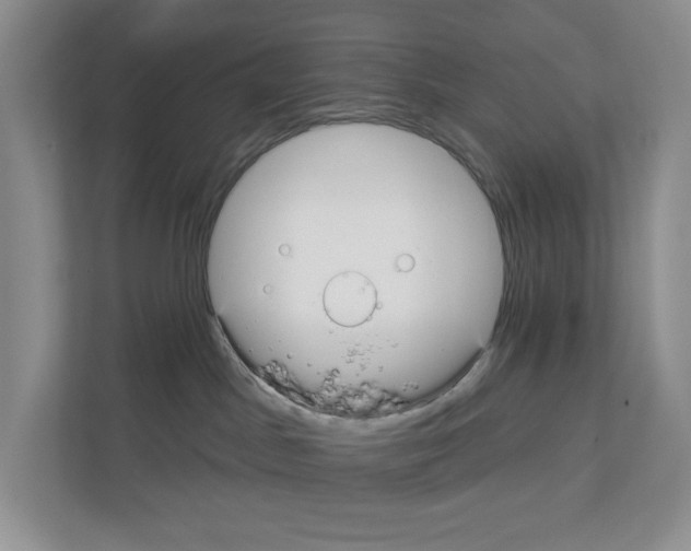 X0000111420045200908241141