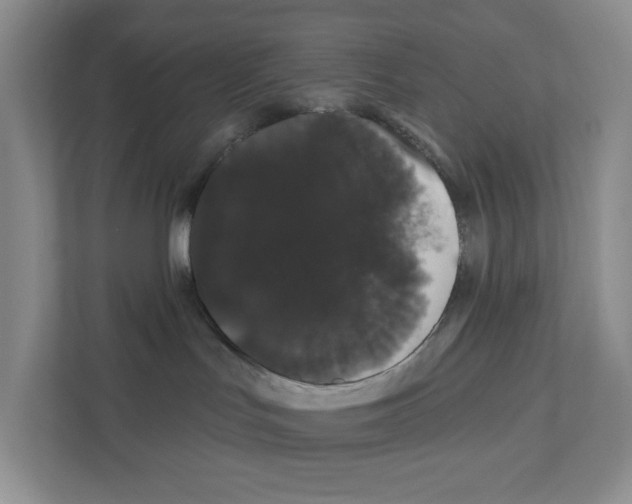 X0000111420047200908241141